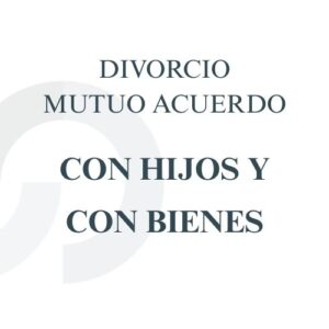 Divorcio mutuo acuerdo con hijos y con bienes